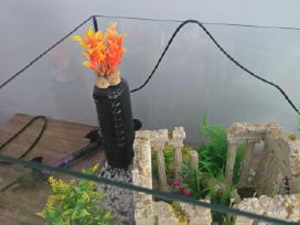 Akvariumo filtras