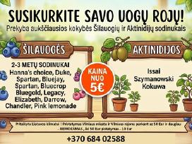 Silauoges ir Aktinidijos
