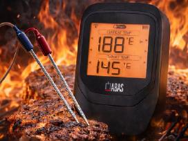2 zondų termometras Bbq Pro