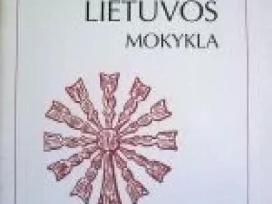 Pietryčių Lietuvos mokykla Rimantas Vaivada