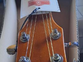 Elektro akustinė gitara