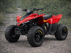 Benzininis keturratis Cforce 110 Premium