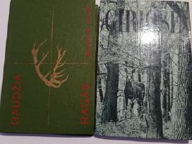 G.isokas 1.gaudžia ragas.2.giriose.