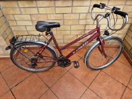 Universalus Dviratis Ragazzi Liner L 165-185 cm
