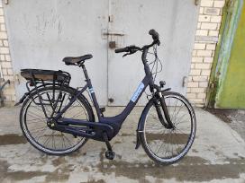 Klasikinis Gazelle Paris c7