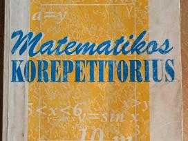 "Matematikos korepetitorius" P. Grebemečenkaitė, E