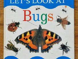 Knyga "let's look at Bugs"