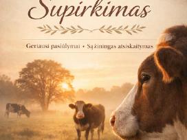 Galvijų supirkimas
