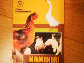 Naminiai paukščiai