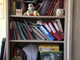 Parduodama knygų lentyna