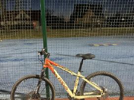 Focus Kalnu dviratis MTB