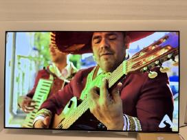 Televizorius LG Oled55b6v