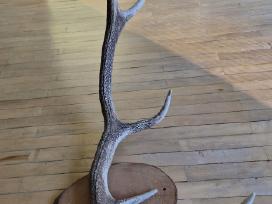 Interjero akcentas ragai 87 cm, 4 atšakos