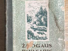 Žmogaus pavasaris 1950 m.