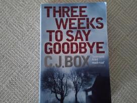 Three Weeks to Say Goodbye C. J Box