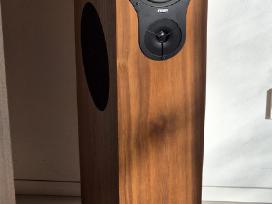 Rega Rx5 grindinės kolonėlės (su garantija)