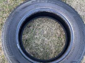 R15 195/65 padangos 4vnt
