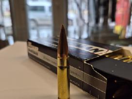 Sig Sauer 300 Acc