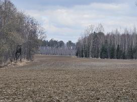 Parduodu žemės ūkio paskirties sklypą