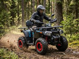 Benzininis keturratis Tao Fourcraft 250 cc
