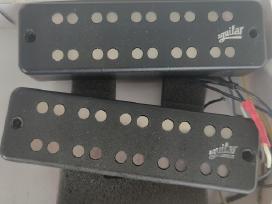 Bosines gitaros nuėmėjai
