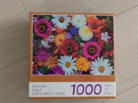 Dėlionė 1000 dalių puzzle