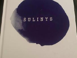 Šulinys (knyga) Laura Sintija Černiauskaitė