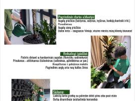 Augalų priežiūros specialistas
