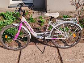 Dviratis Sprint 24''