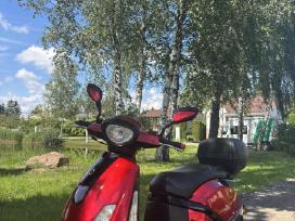 Motoroleris