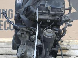 Audi A2 variklis Amf dyzelinas 1400 cm³ 1.4 55 kw