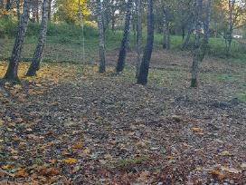 Sodo sklypas