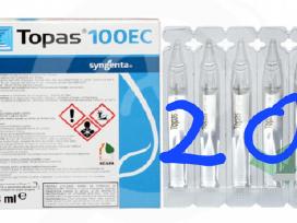 Topas