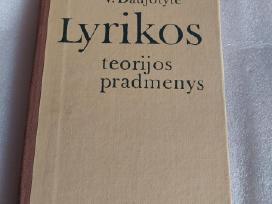 Lyrikos teorijos pradmenys