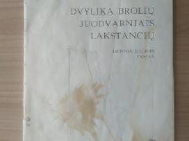 "Dvylika brolių juodvarniais lakstančių"