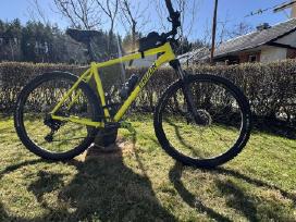 Dviratis Radon Zr Team 8.0