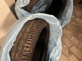 Pirelli cinturato padangos
