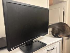 Benq Xl2411z žaidimų monitorius, 24 colių, 144hz
