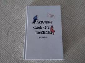 Короткие смешные рассказы о жизни rusų kalba