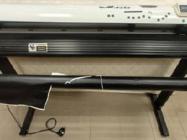 Ploteris 128 cm