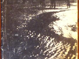 A. Marcinkevičius "Prie Dubysos".