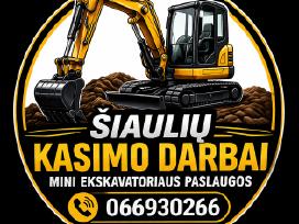 Mini ekskavatoriaus nuoma Sraigtinių poliu sukimas