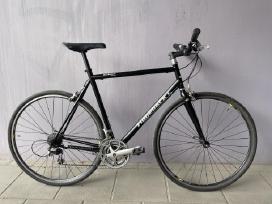 Ridgeback genesis