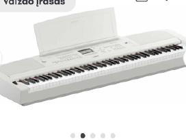 Labai graži Yamaha Dgx 670 Skaitmeninis white