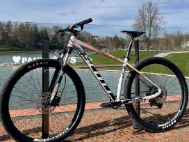 Scott scale 965