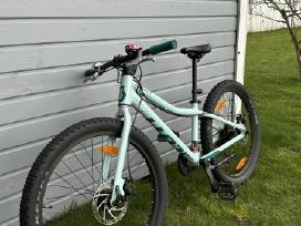 Scott Contessa 24 Rigid vaikiškas dviratis