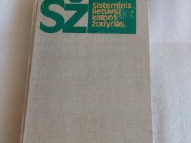 Sisteminis lietuvių kalbos žodynas