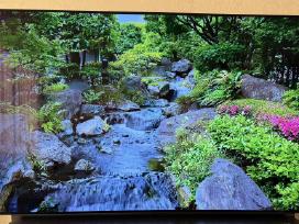 LG Oled65bx3lb naudotas televizorius