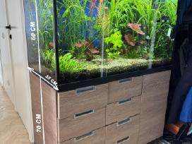 Akvariumas su viskuo