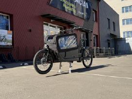 E-bike Prophete Cargo 22.etl.20 // 250w iki 100nm